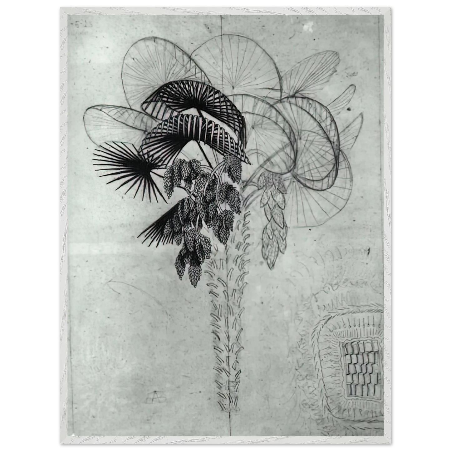 MC Escher - PALM TREE SKETCH Wall Art - 21x29.7 cm / 8x12" - Premium Wooden Framed Poster With Fine Art Paper - Wood frame