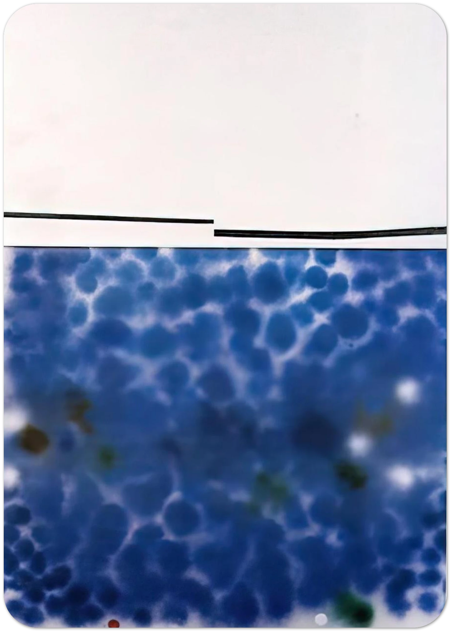 c5e30e99-6919-467d-9e5a-13a7ccdb9bbf