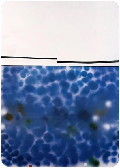 c5e30e99-6919-467d-9e5a-13a7ccdb9bbf