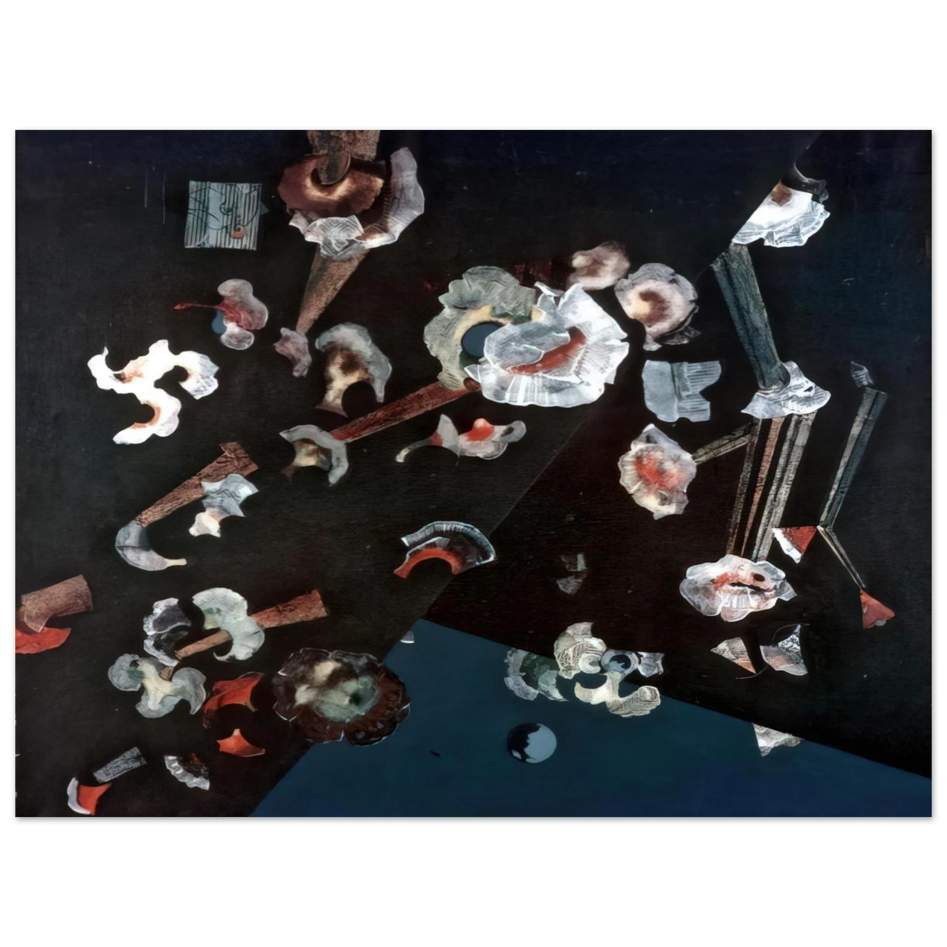 Max Ernst - Flowers of seashells Fine Art Poster - Default Title