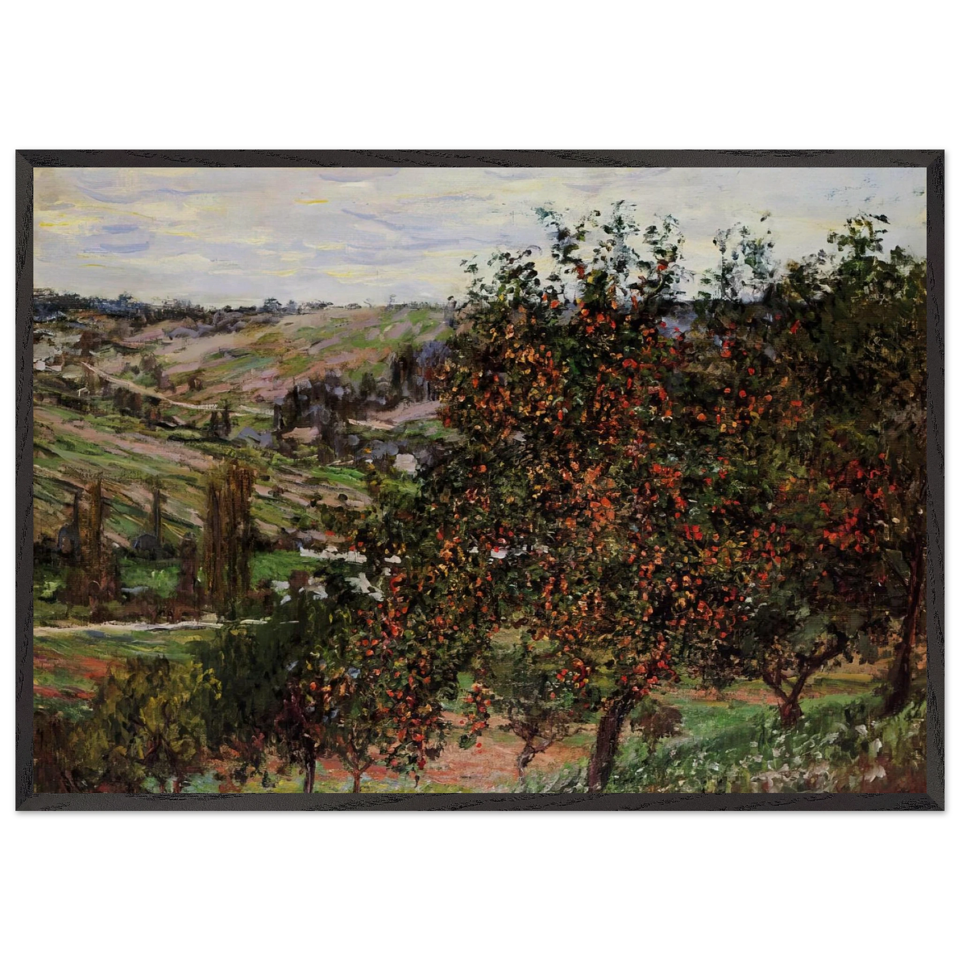 Apple Trees near Vetheuil - claude monet Framed Art Print – Black Wooden Frame - Default Title - -Framed Art Print