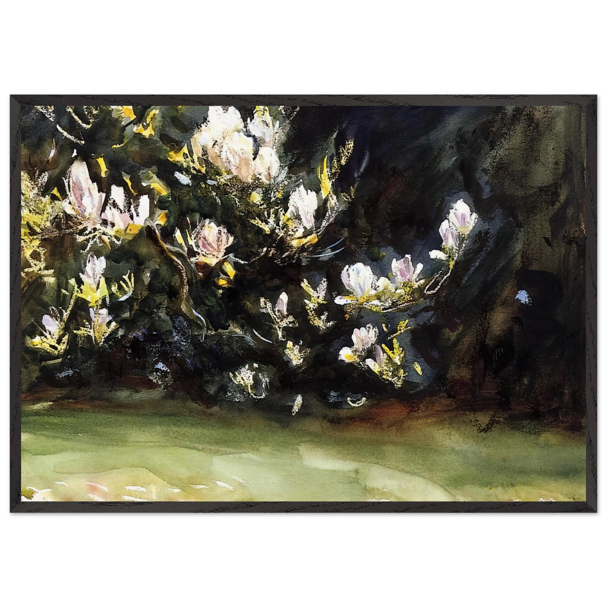 Magnolias - John Singer Sargent Framed Art Print – Black Wooden Frame - Default Title - -Framed Art Print