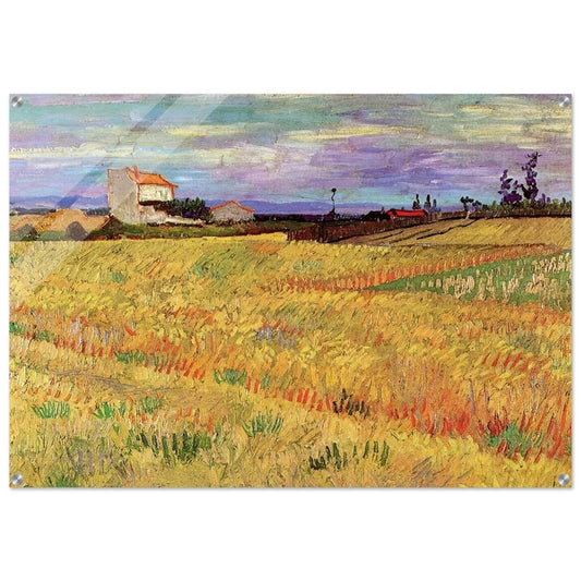 Wheat Field - Vincent van Gogh Acrylic Print - 70x100 cm / 28x40″ inches