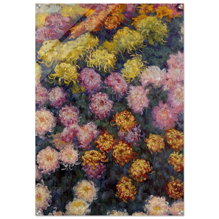 Bed of Chrysanthemums - claude monet Acrylic Print - 70x100 cm / 28x40″ inches
