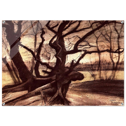 Study of a Tree - Vincent van Gogh Acrylic Print - 70x100 cm / 28x40″ inches