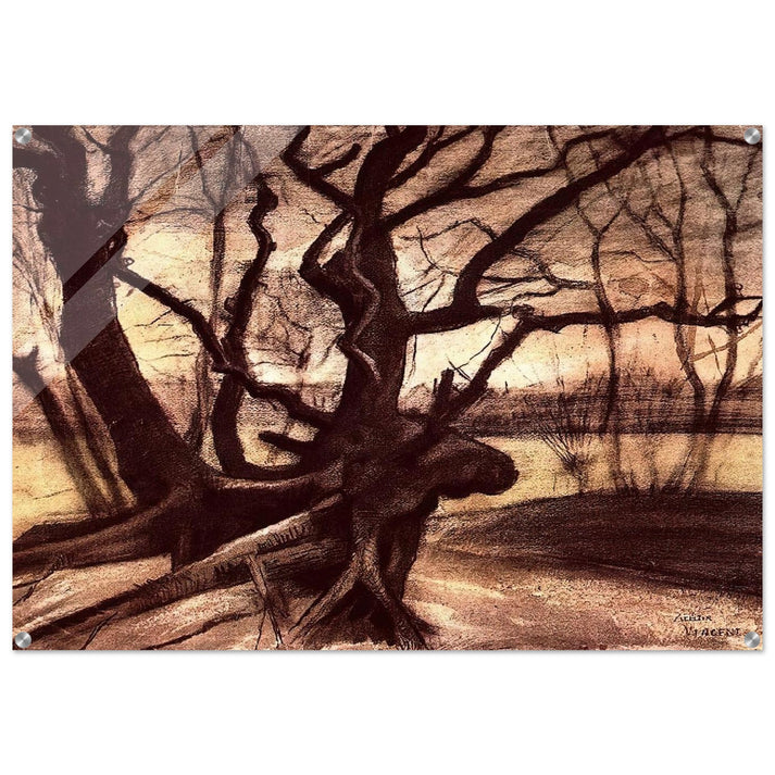 Study of a Tree - Vincent van Gogh Acrylic Print - 70x100 cm / 28x40″ inches