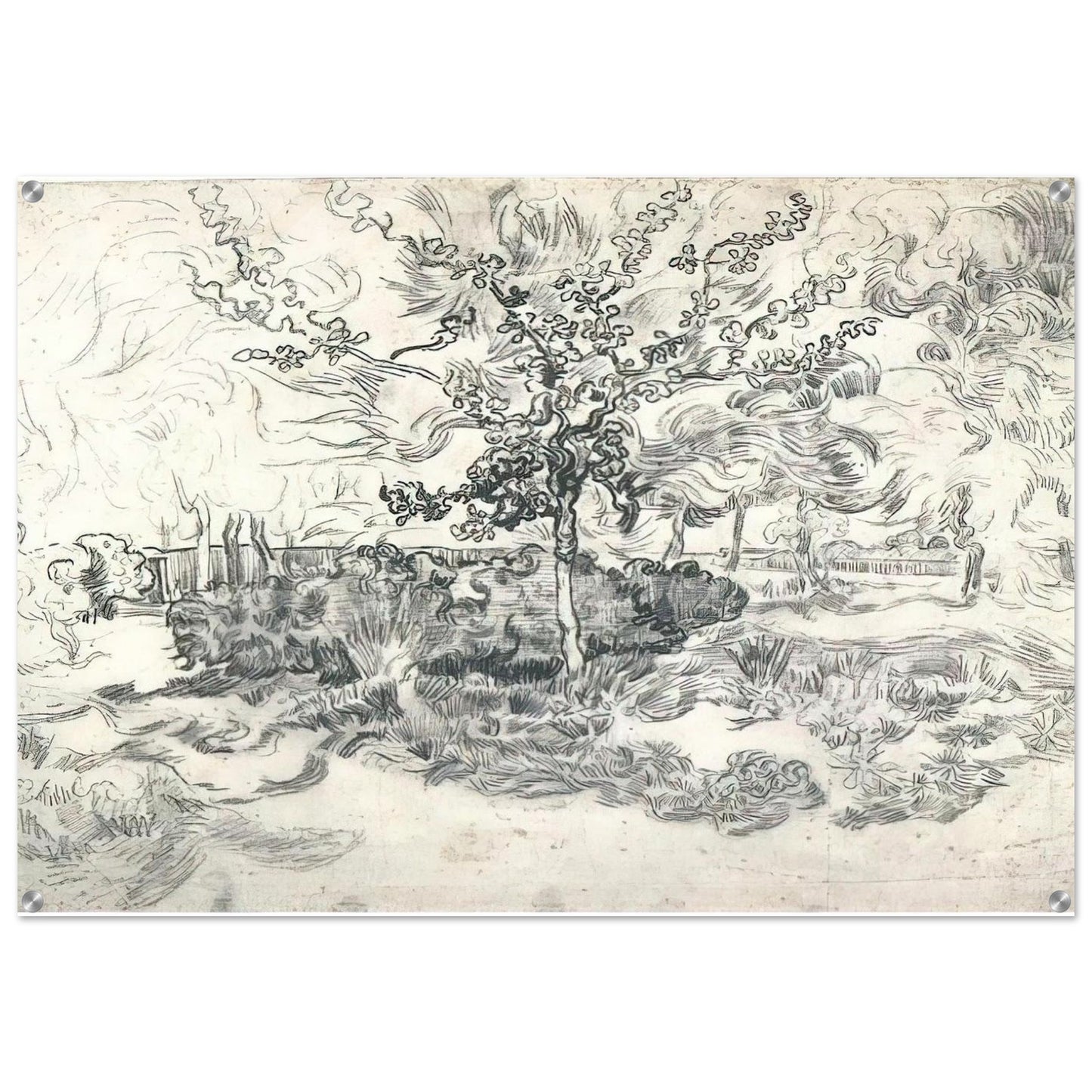 Garden of the Asylum - Vincent van Gogh Acrylic Print - 70x100 cm / 28x40″ inches