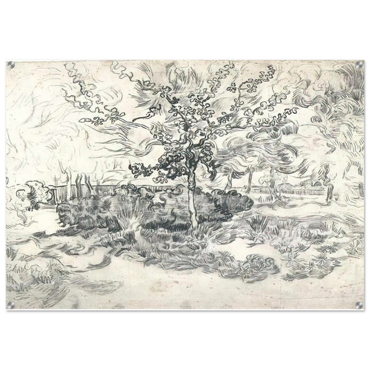 Garden of the Asylum - Vincent van Gogh Acrylic Print - 70x100 cm / 28x40″ inches