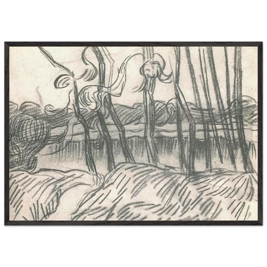 A Row of Bare Trees - Vincent van Gogh 70x100 cm / 28x40 inches Framed Art Print – Black Wooden Frame