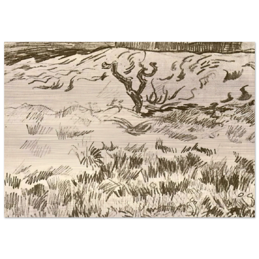 Field with Bare Tree - Vincent van Gogh Brushed Aluminum Print - 70x100 cm / 28x40 inches | Vincent van Gogh Aluminum Print | Vincent van Gogh Prints