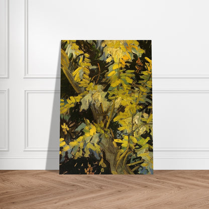 Blossoming Acacia Branches - Vincent van Gogh Brushed Aluminum Print - 70x100 cm / 28x40 inches | Vincent van Gogh Aluminum Print | Vincent van Gogh Prints