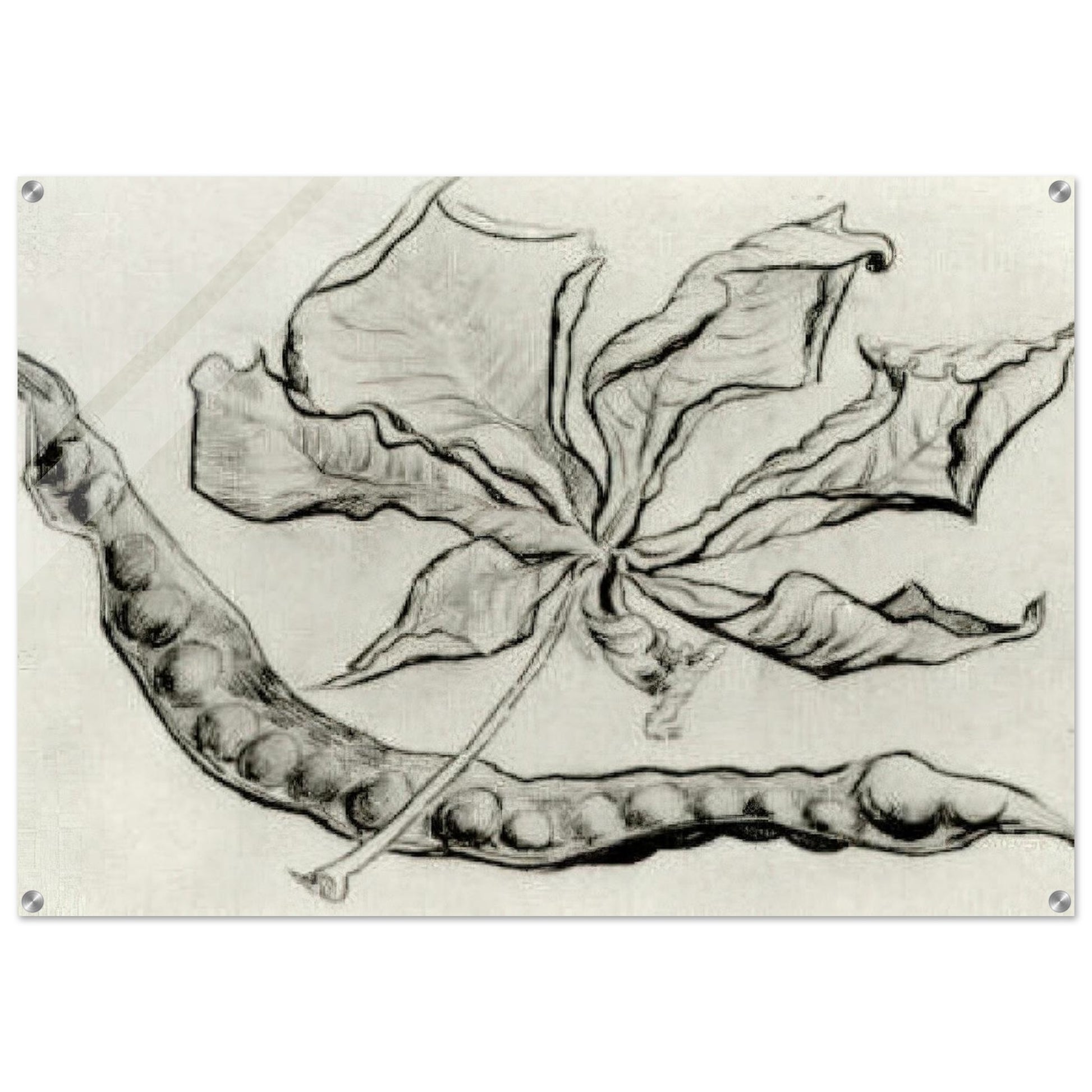 Dead Leaf and Pod - Vincent van Gogh Acrylic Print - 70x100 cm / 28x40″ inches