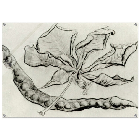 Dead Leaf and Pod - Vincent van Gogh Acrylic Print - 70x100 cm / 28x40″ inches
