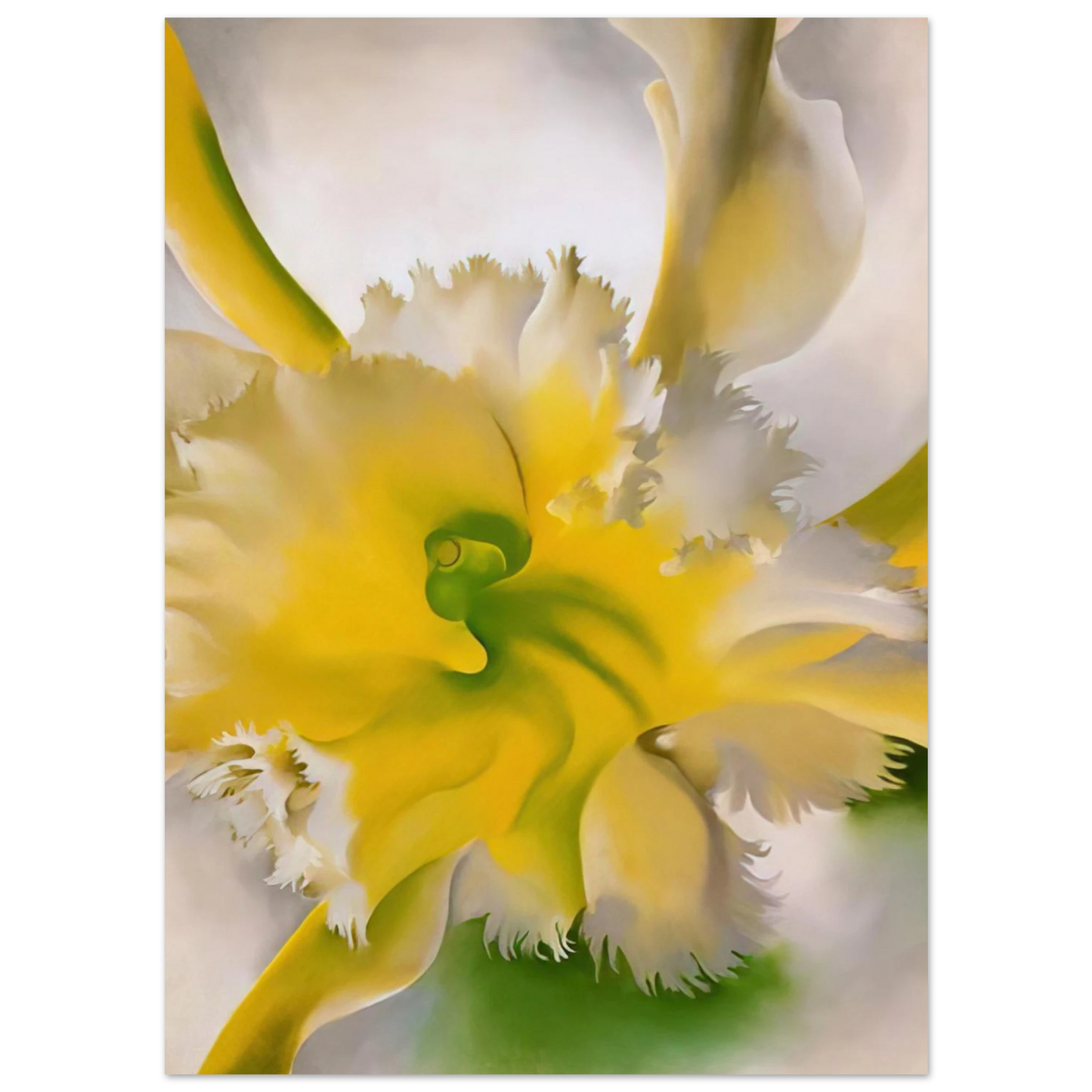 Georgia O'Keeffe - An Orchid Fine Art Poster - 75x100 cm / 30x40 inches