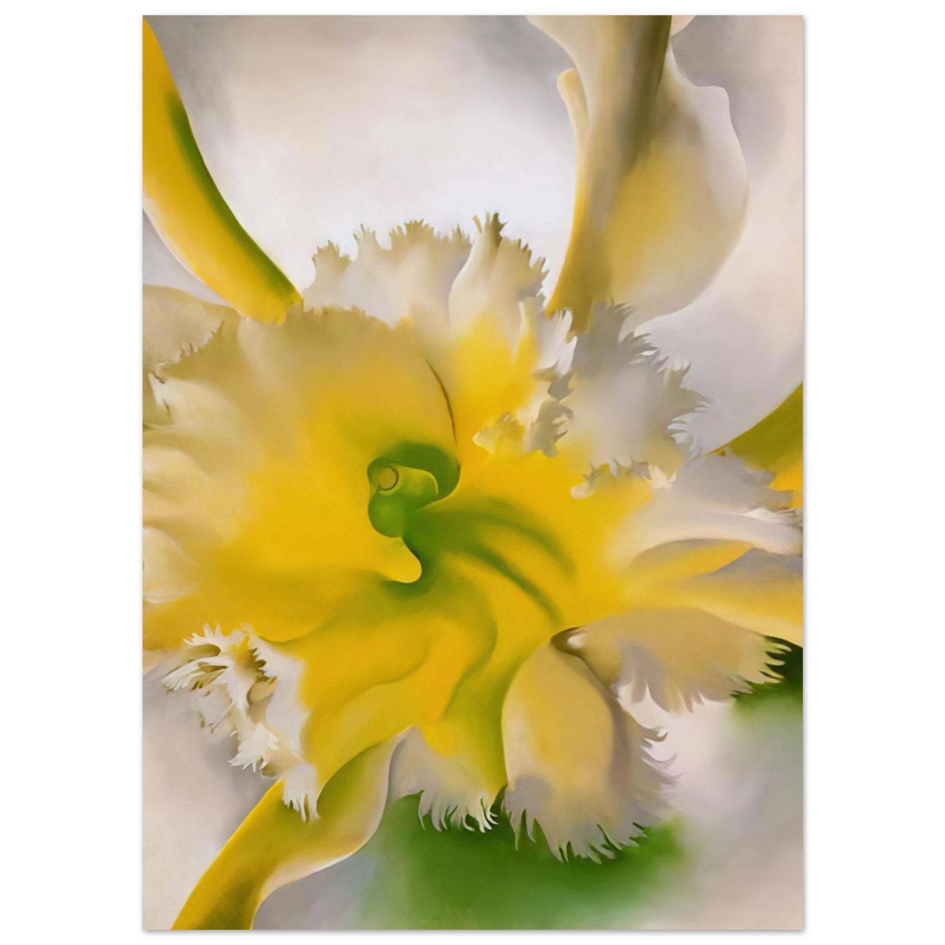 Georgia O'Keeffe - An Orchid Fine Art Poster - 75x100 cm / 30x40 inches