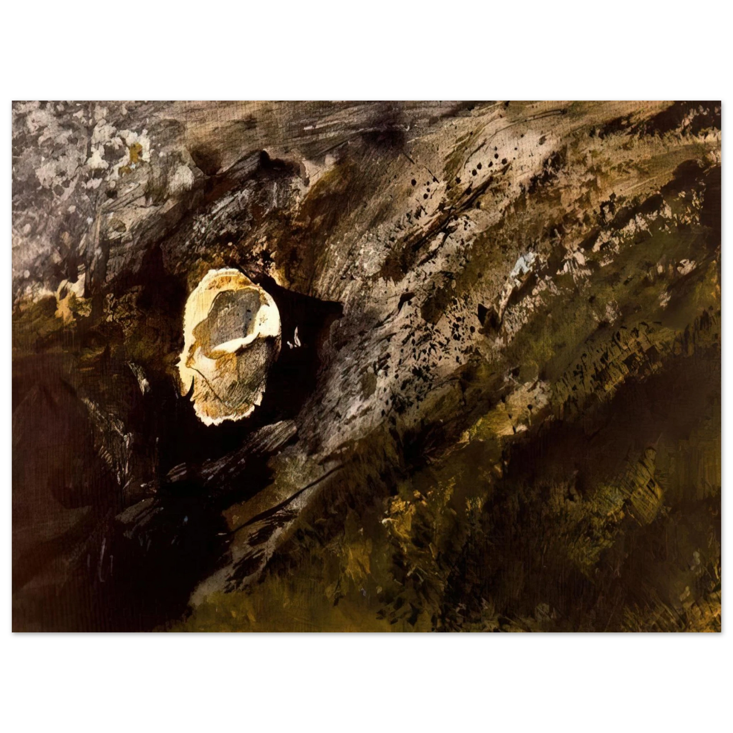 Andrew Wyeth - INLAND SHELL Wall Art - 21x29.7 cm / 8x12" - Fine Art Poster - -