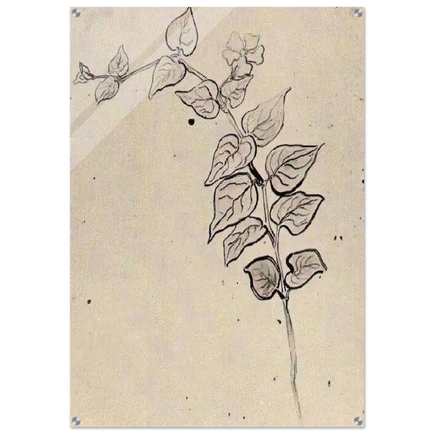 Branch with Leaves - Vincent van Gogh Acrylic Print - 70x100 cm / 28x40″ inches