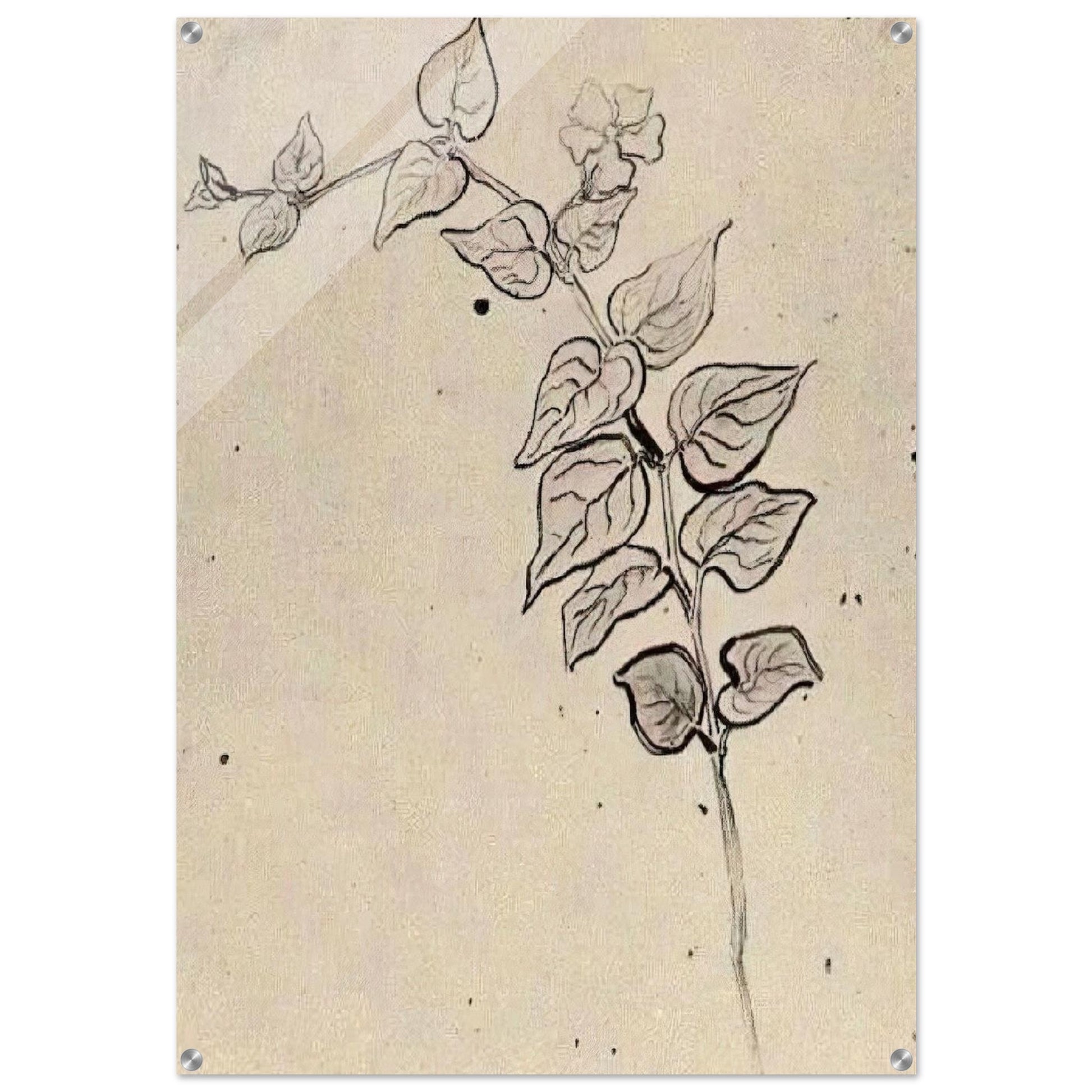 Branch with Leaves - Vincent van Gogh Acrylic Print - 70x100 cm / 28x40″ inches