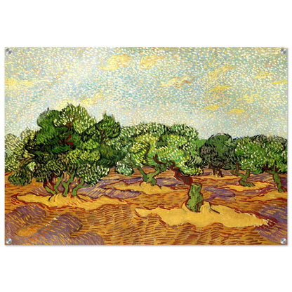 Olive Grove - Pale Blue Sky - Vincent van Gogh Acrylic Print - 70x100 cm / 28x40″ inches | Vincent van Gogh Wall Art | Vincent van Gogh Prints