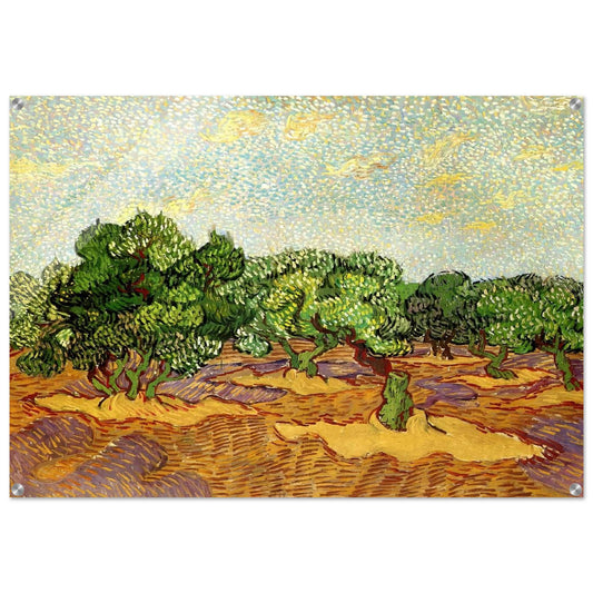 Olive Grove - Pale Blue Sky - Vincent van Gogh Acrylic Print - 70x100 cm / 28x40″ inches | Vincent van Gogh Wall Art | Vincent van Gogh Prints