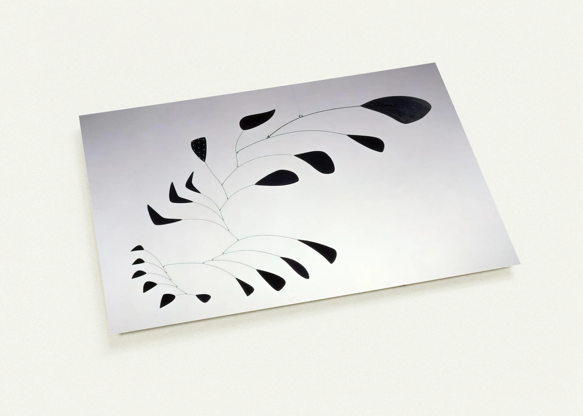 cad6bc38-3548-4a9c-a6a0-5dbfb677ff9c