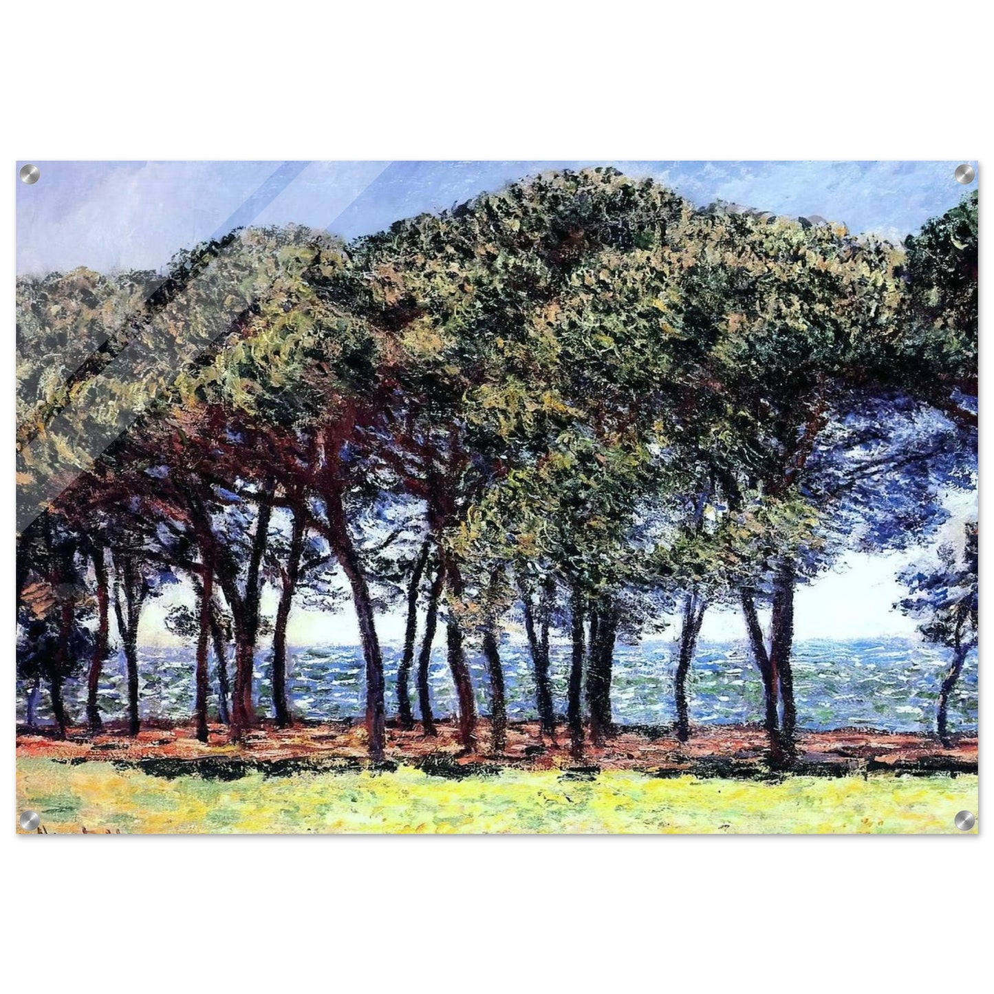 Pine Trees, Cap d'Antibes - claude monet Acrylic Print - 70x100 cm / 28x40″ inches