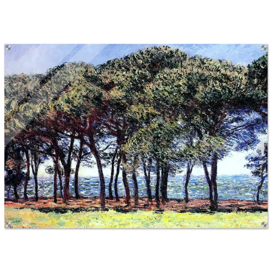 Pine Trees, Cap d'Antibes - claude monet Acrylic Print - 70x100 cm / 28x40″ inches