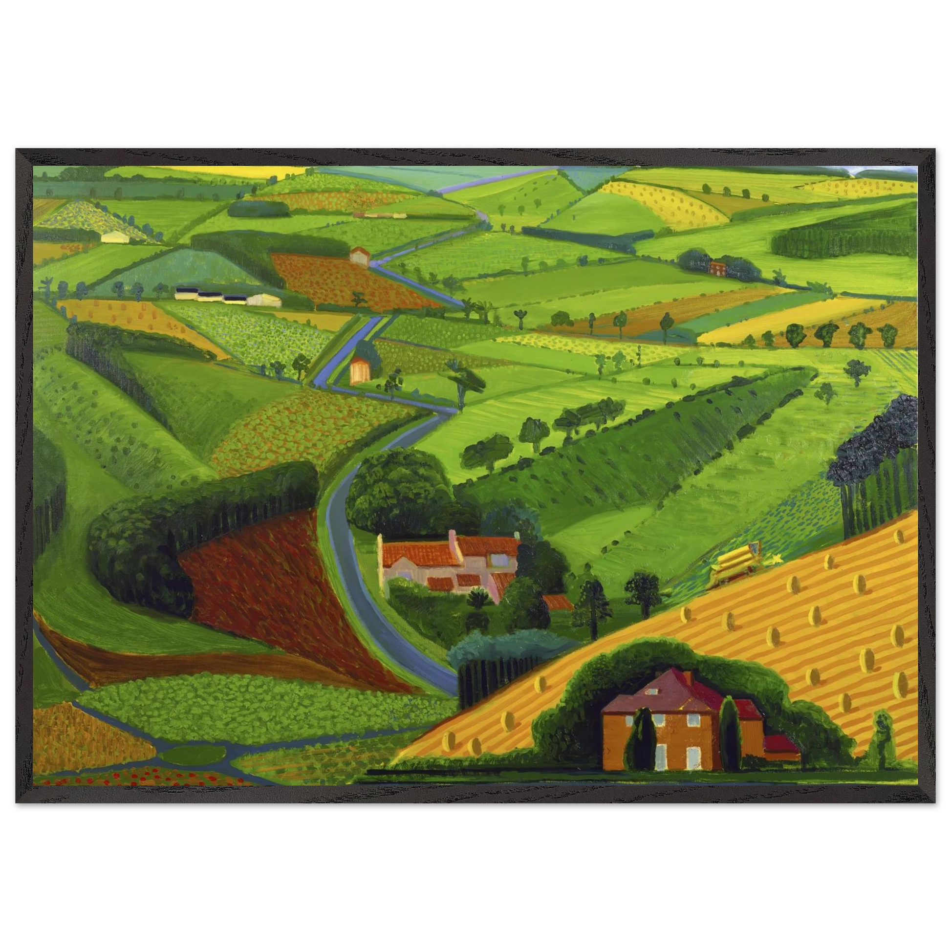 David Hockney N1 - David Hockney 70x100 cm / 28x40 inches Framed Art Print – Black Wooden Frame | David Hockney Art | Artwork by David Hockney