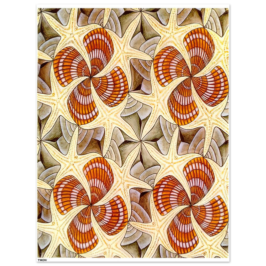 MC Escher - SHELLS AND STARFISH Wall Art - 21x29.7 cm / 8x12" - Fine Art Poster - -