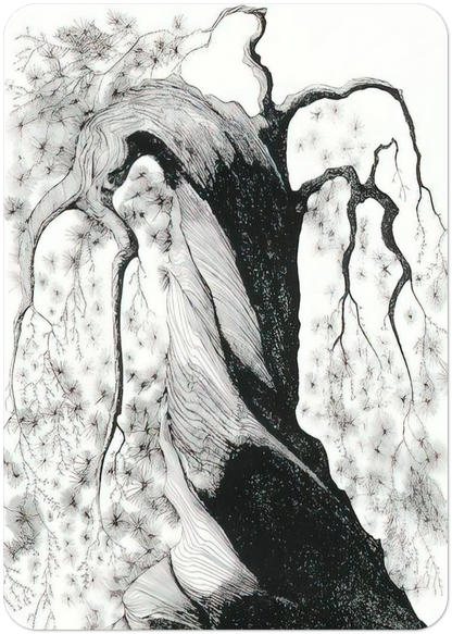 Pine Tree By Eyvind Earle Pack of 10 Post Cards | Eyvind Earle Post Cards | A6 (10.5 x 14.8 cm) - 4.1 x 5.8 inches