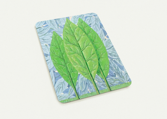 cce858a9-c84e-4fca-9d3d-8aa1d35ed0f4