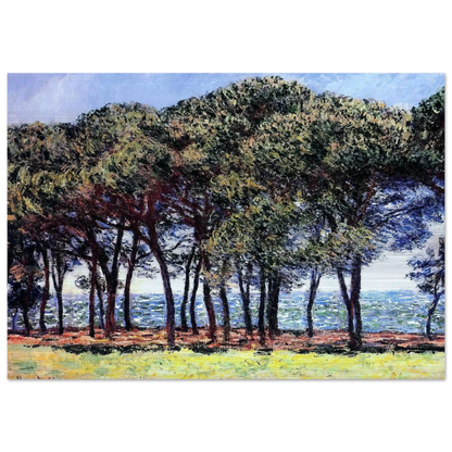 Pine Trees, Cap d'Antibes - claude monet Brushed Aluminum Print - 70x100 cm / 28x40 inches | claude monet Aluminum Print | claude monet Prints