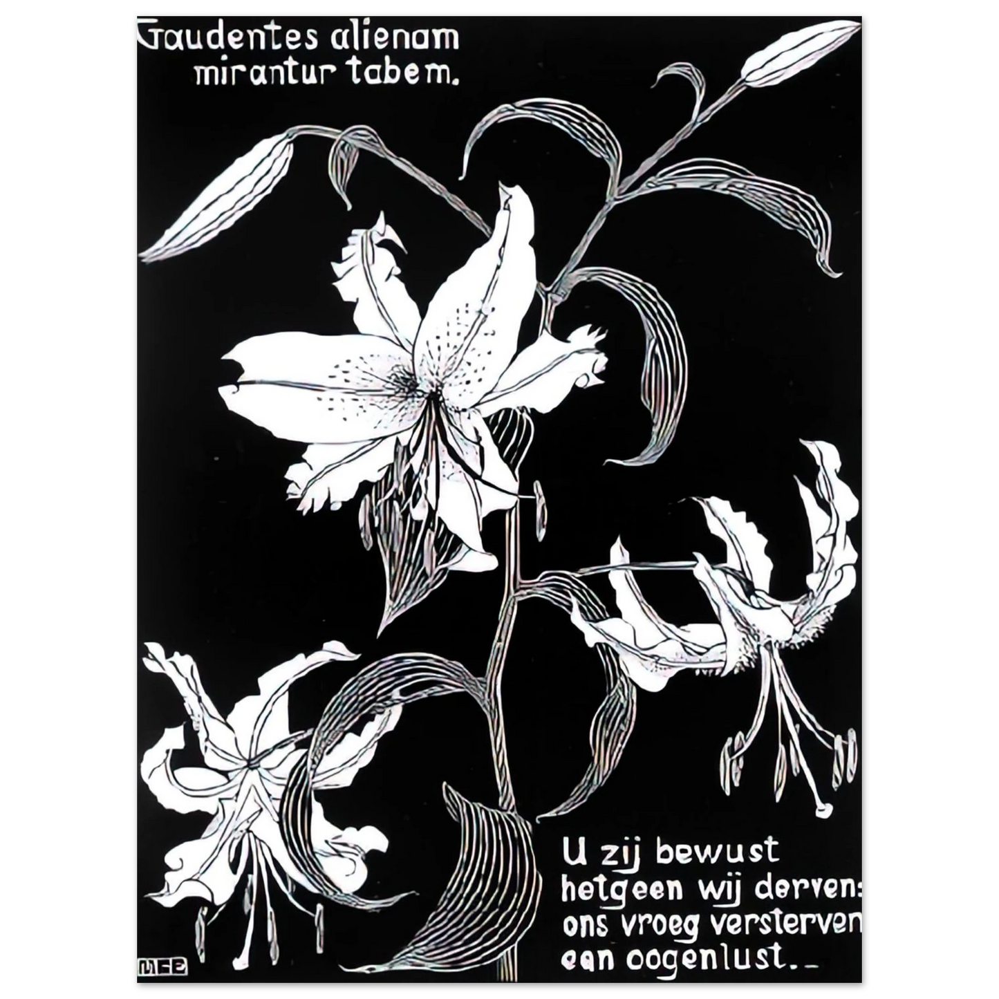 MC Escher - FLOWERS Wall Art - 30x40 cm / 12x16 inches - Premium Wooden Framed Poster With Fine Art Paper - Wood frame