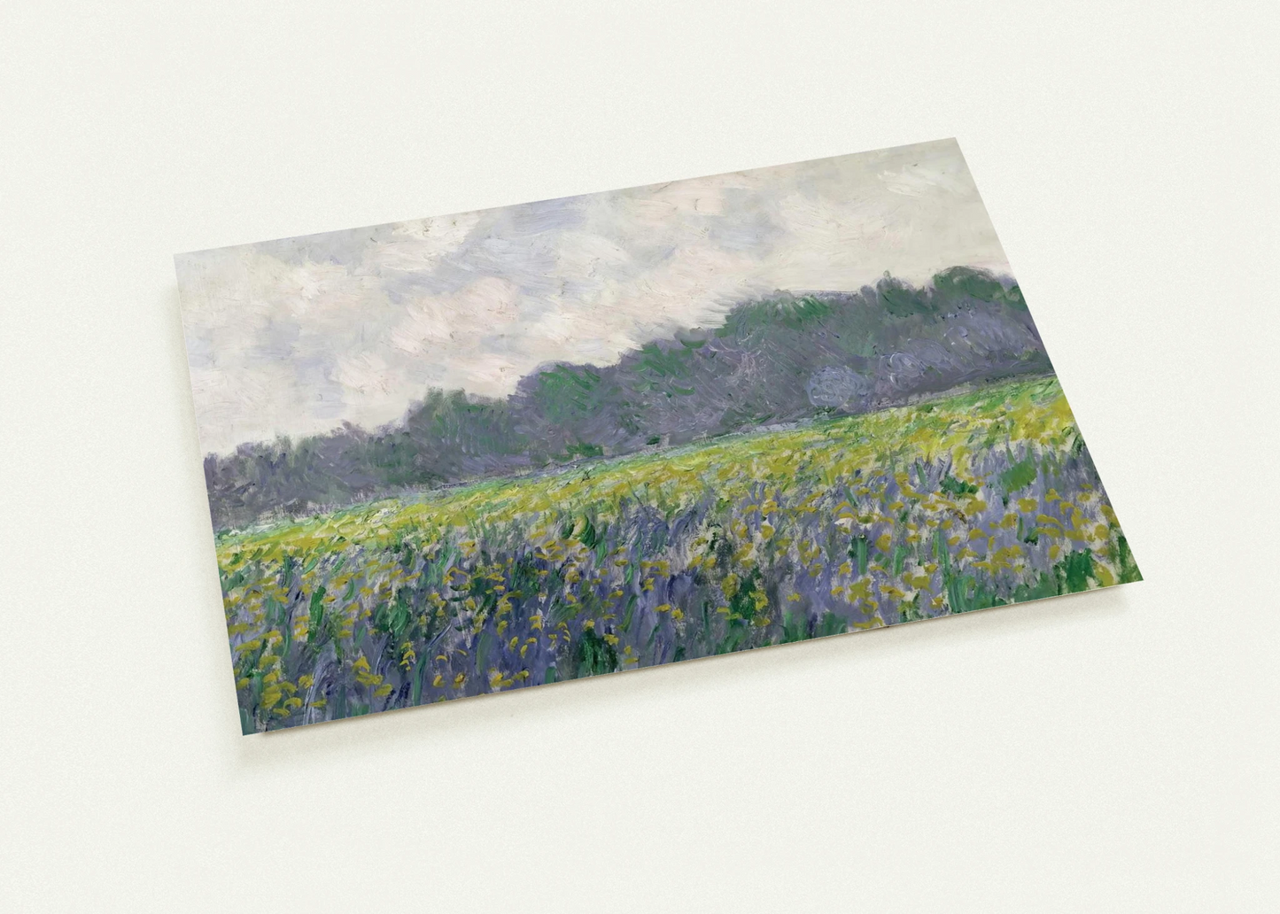 Field of Yellow Irises at Giverny By claude monet Pack of 10 Post Cards | claude monet Post Cards | A6 (10.5 x 14.8 cm) - 4.1 x 5.8 inches