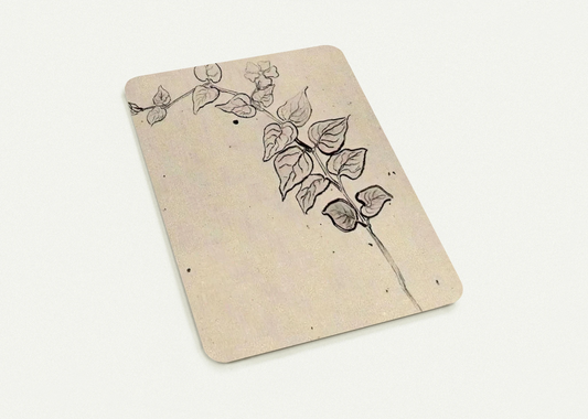 Branch with Leaves By Vincent van Gogh Pack of 10 Post Cards | Vincent van Gogh Post Cards | A6 (10.5 x 14.8 cm) - 4.1 x 5.8 inches