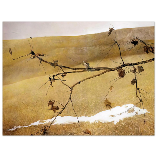 Andrew Wyeth - LONG LIMB Wall Art - 21x29.7 cm / 8x12" - Fine Art Poster - -