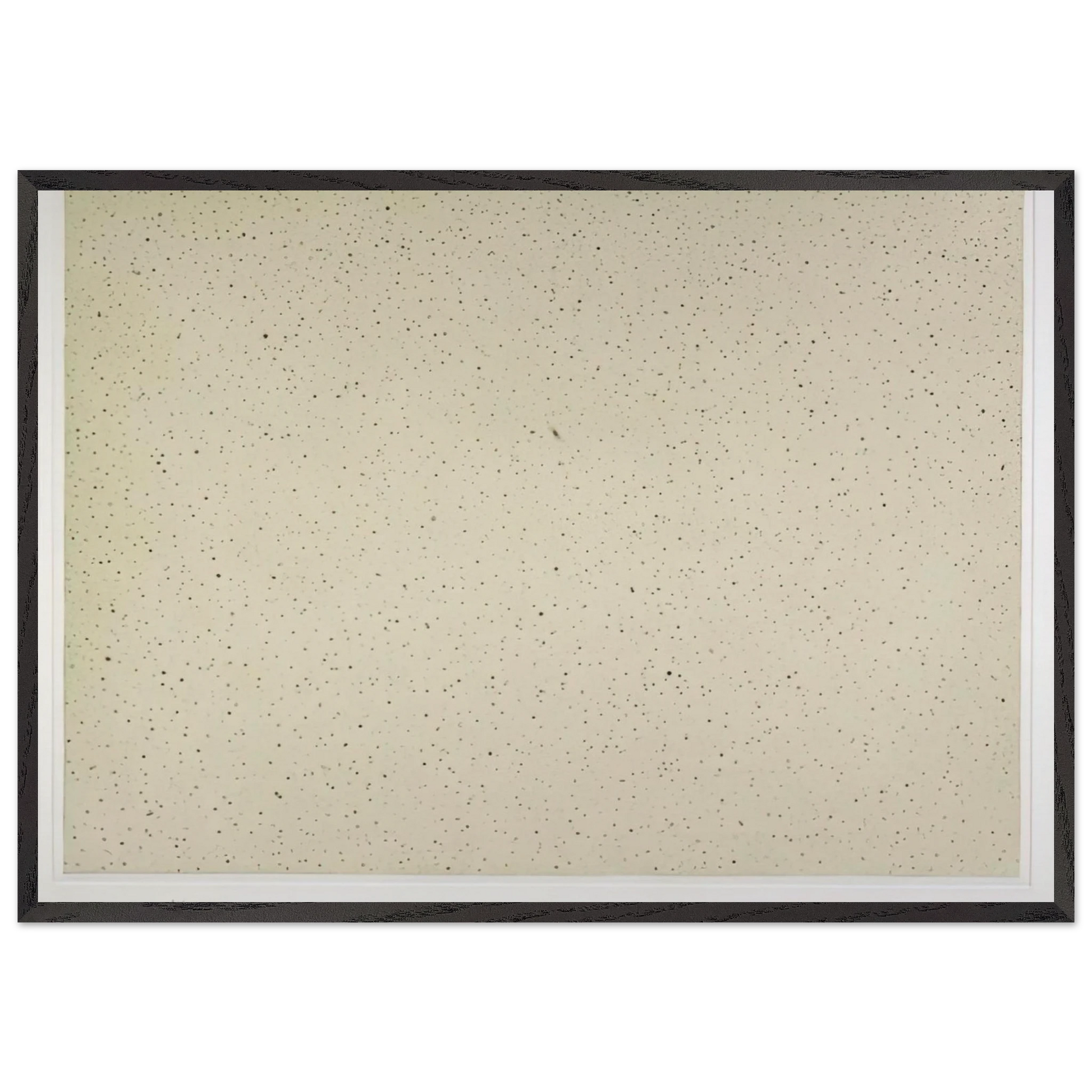 NIGHT SKY 2 REVERSED 2002 - Vija Celmins Framed Art Print – Black Wooden Frame - Default Title - -Framed Art Print