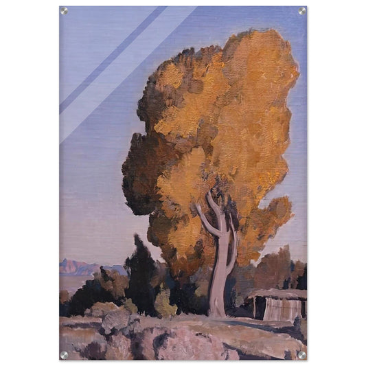 LOW COUNTRY COTTONWOOD 1940 - Maynard Dixon Acrylic Print - 70x100 cm / 28x40″ inches