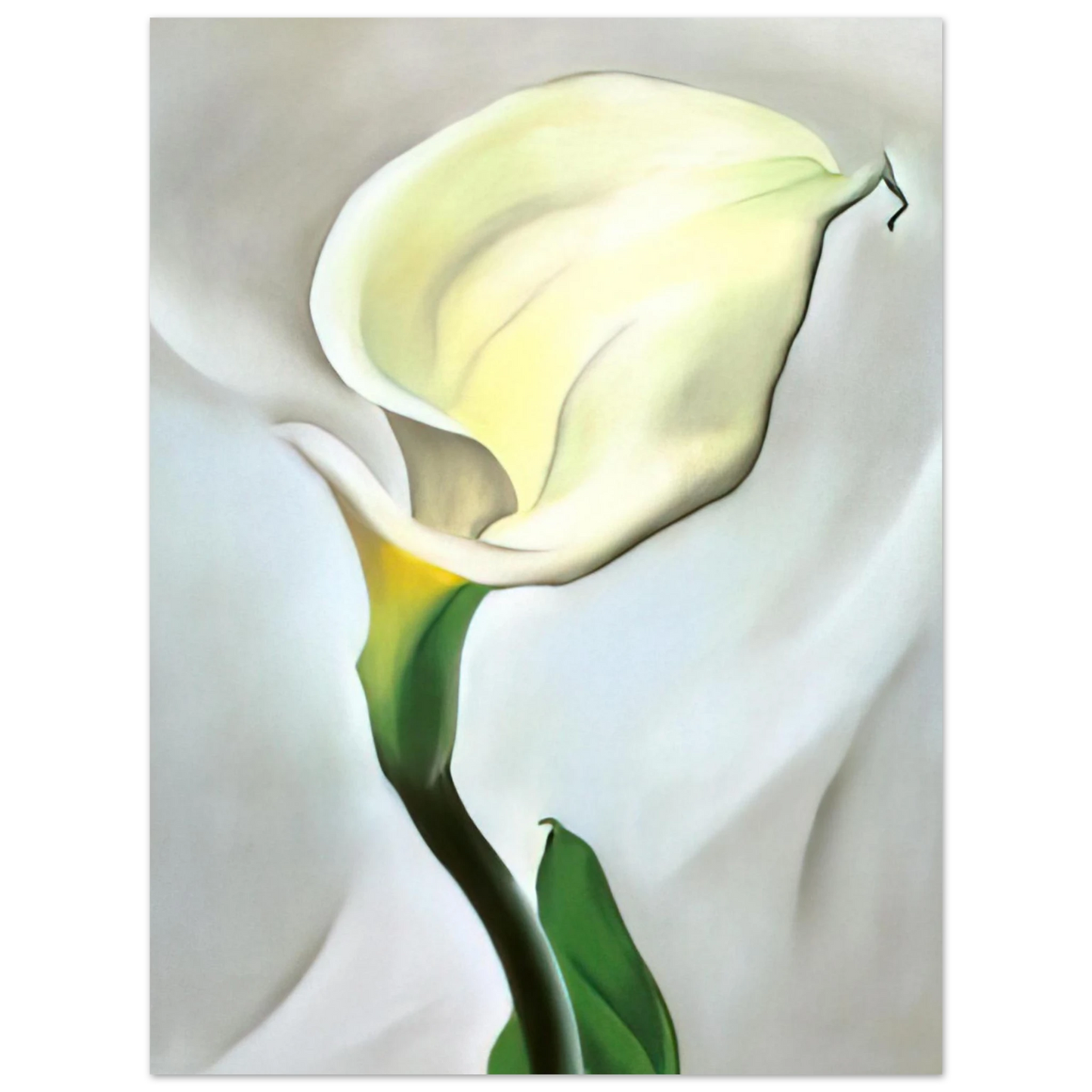 Georgia O'Keeffe - Calla Lily Turned Away Fine Art Poster - 13x18 cm / 5x7 inches