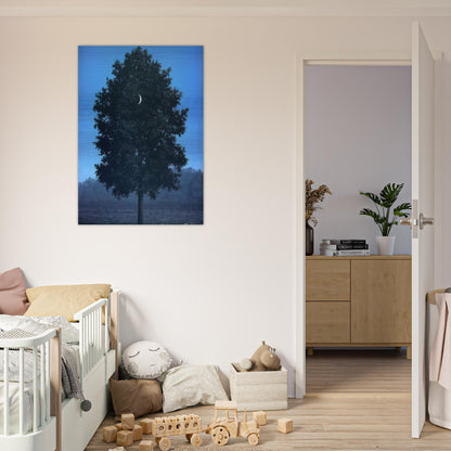 cfb4805e-111a-414f-a3a1-93eba9b36501