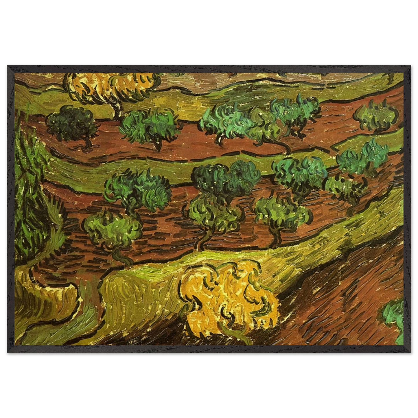 Olive Trees against a Slope of a Hill - Vincent van Gogh Framed Art Print – Black Wooden Frame - Default Title - -Framed Art Print