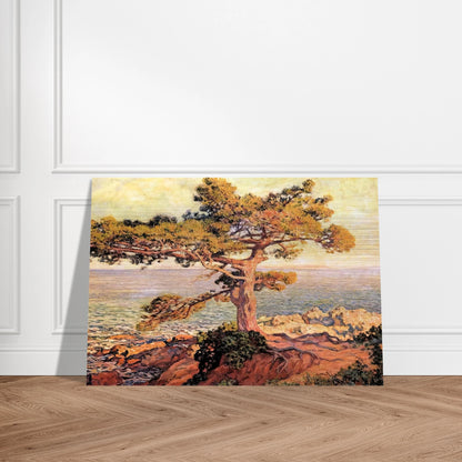 d03f55bf-b31a-4a8f-9472-7b9c213223fb