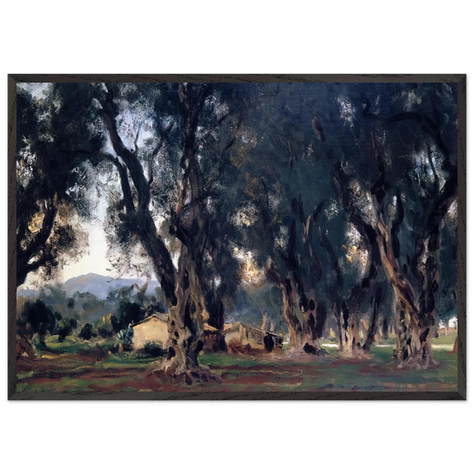 Olive Trees at Corfu - John Singer Sargent 70x100 cm / 28x40 inches Framed Art Print – Black Wooden Frame