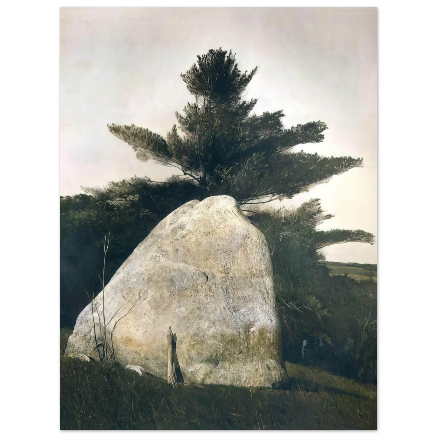 Andrew Wyeth - PENNSYLVANIA LANDSCAPE Wall Art - 21x29.7 cm / 8x12" - Fine Art Poster - -
