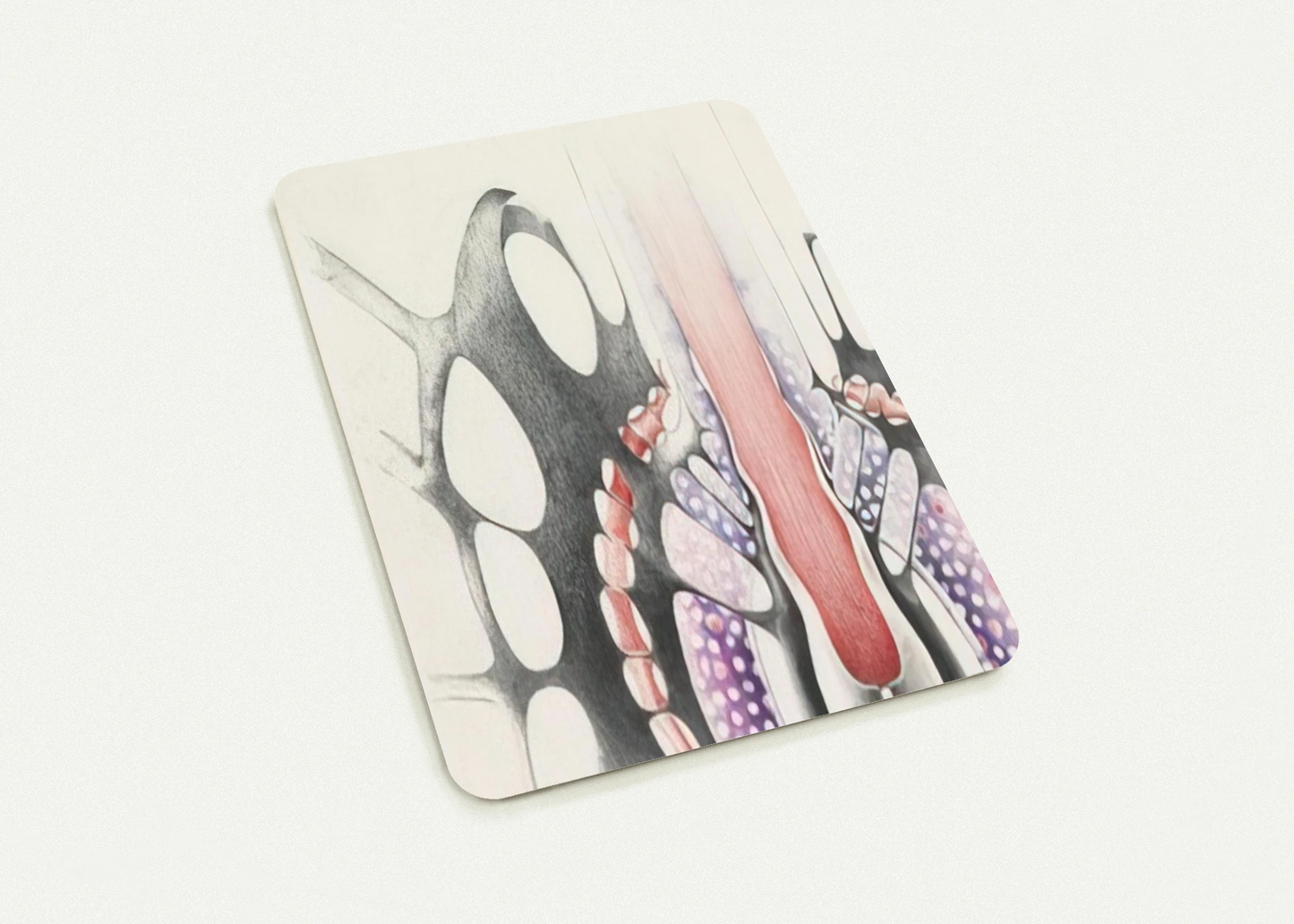 d10d88fe-4a35-453f-9002-e787d76701ff