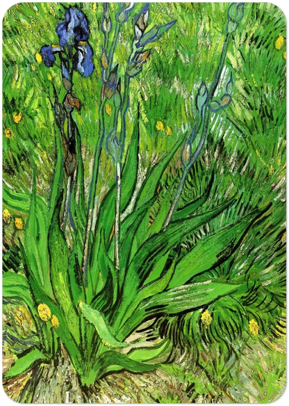 d150fd4a-59e9-4b9c-b3f7-d5f4450f5c98