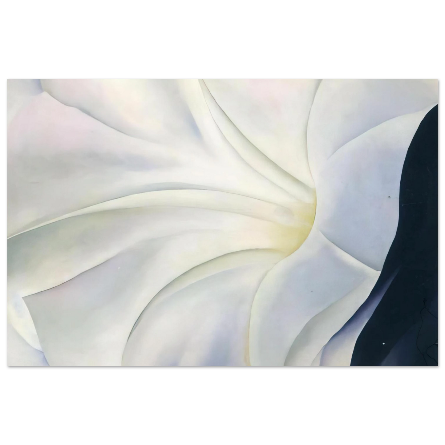 Georgia O'Keeffe - Morning Glory with Black Fine Art Poster - 75x100 cm / 30x40 inches
