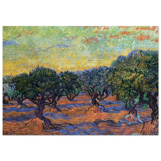 Olive Grove - Orange Sky - Vincent van Gogh Brushed Aluminum Print - 70x100 cm / 28x40 inches | Vincent van Gogh Aluminum Print | Vincent van Gogh Prints