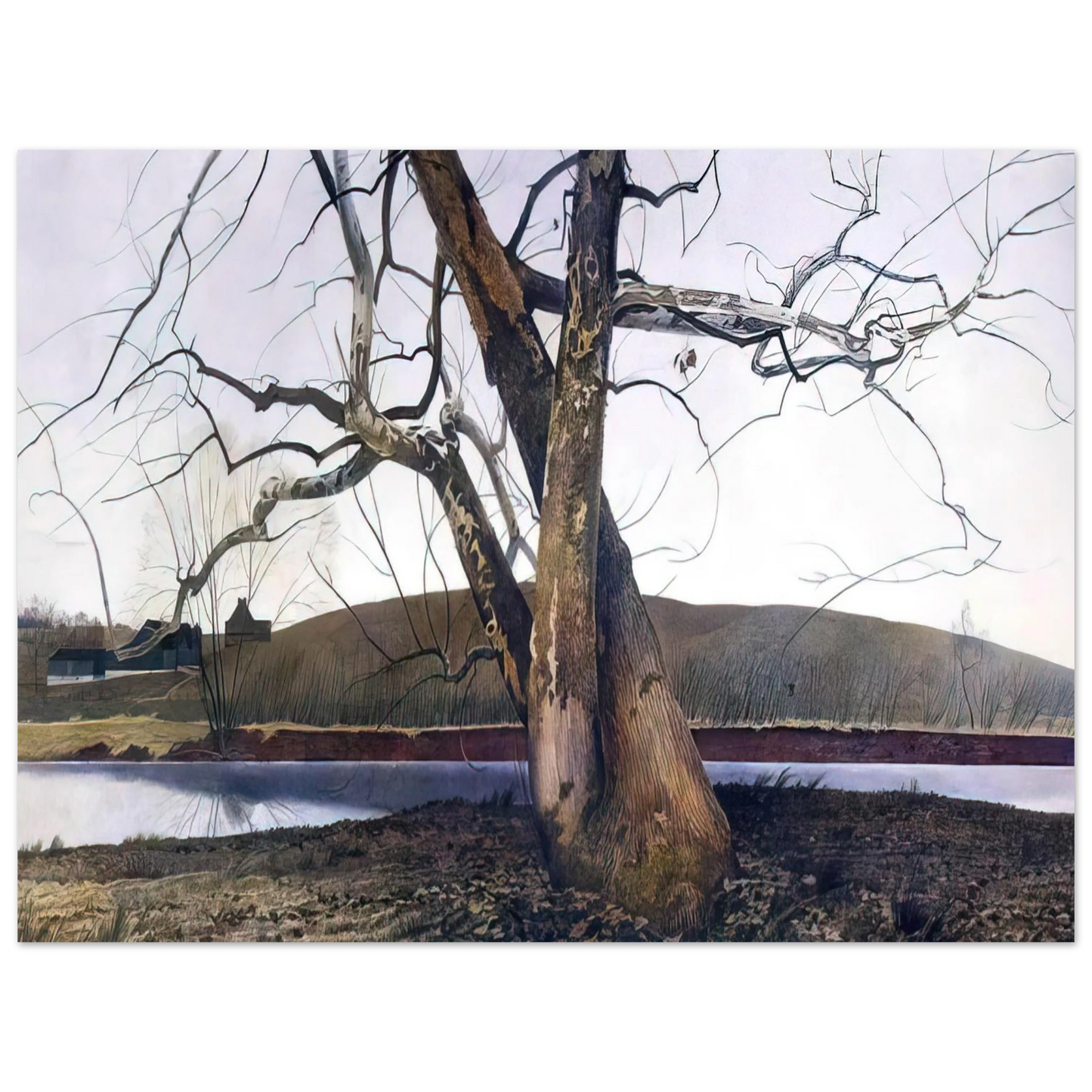 Andrew Wyeth - DIL HUEY FARM Wall Art - 21x29.7 cm / 8x12" - Fine Art Poster - -