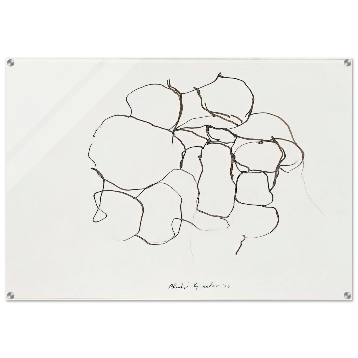 d217108b-ba7e-45e3-88b5-eb2836b608f2